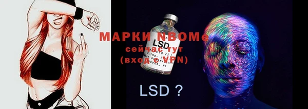 PSILOCYBIN Алзамай