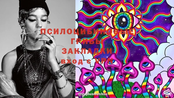 МДПВ Алексин