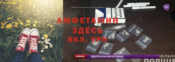 PSILOCYBIN Алзамай