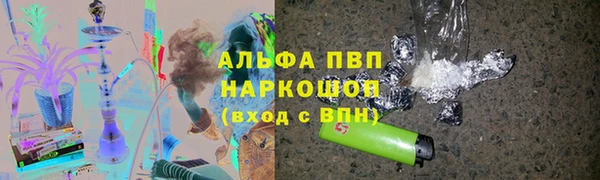 PSILOCYBIN Алзамай