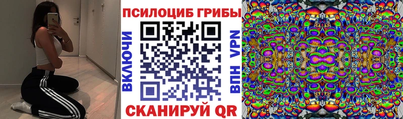 mega сайт Алексеевка Галлюциногенные грибы Psilocybine cubensis магазин продажи наркотиков